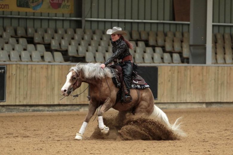VESTE CHEMISE CONNIE'S WESTERN PLAISANCE SHOW ÉQUITATION
